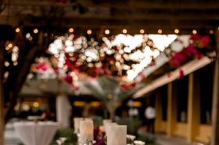 Impress by Marlene - 20