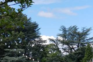 Memphis Botanic Garden - 7