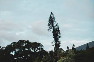 Tara Lee Photography - 46