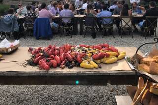 Caswell Farm & Wedding Barn - 27