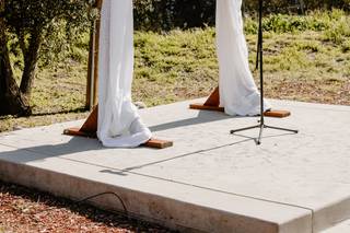 Weddings at Reptacular Animals Ranch in the Forest - 7