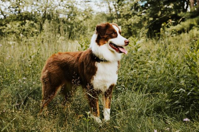 Caroline Gilbody Photography - 1
