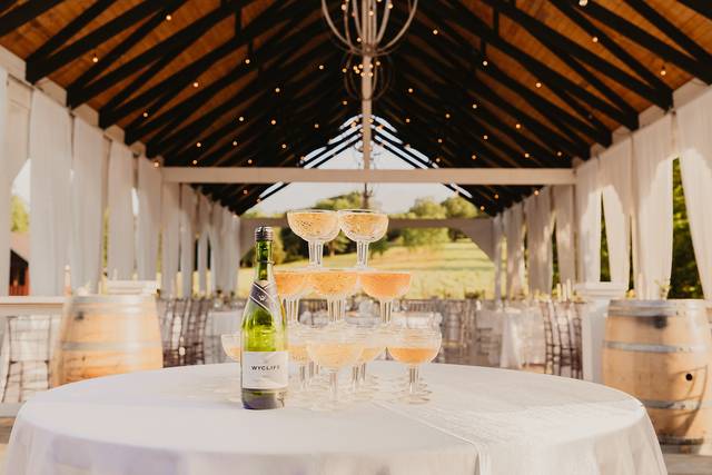 Sassafras Springs Vineyard 1