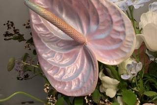 Lulo + Ly Floral Studio - 23