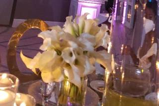 Albriana Shante Events - 9