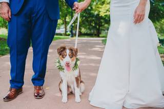 Brad Barnwell Photography - 38