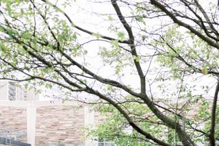 Timeless Tree Weddings - 11