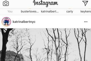 Katrin Albert Photography - 6