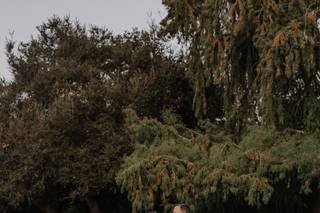Marroquin Photography - 6
