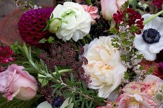 Andi Watkins Photography - 33