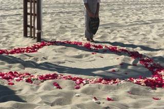 All the Best Weddings & Celebrations - 9