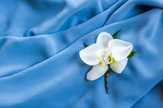 Fairbanks Florist - 11