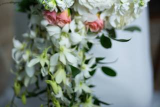 Fukushima Flowers - 107