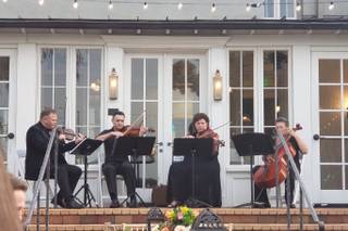 Beautiful Music & Paint It Black Quartet (Est. 1985) - 4