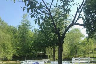 Thomas Farm Weddings & Events - 81