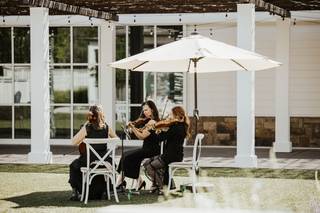 Bellarosa String Quartet - 9