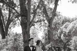 Kristin Lin Photography - 7
