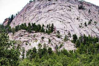 Tyler Freear Photography - 22