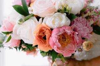 Annie Paige Photography - 12