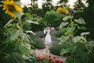Sova Gardens - 8
