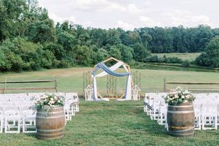 Mini Rose Farm - 13