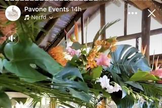 Pavone Events - 17