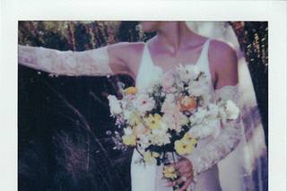 Honey Rose Photo - 6