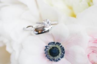 Ashley Mac Photographs - 14