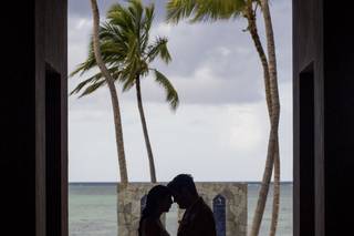 Tropical Pictures - 127