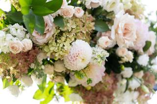 Maple & Mum Floral Designs - 35