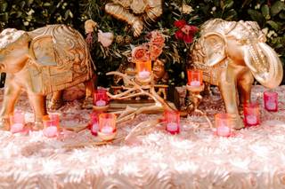 Nikun Events Company - 14