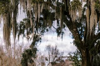 Michele Maloney Photography - 11