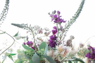Shelly's Designs Florist - 13