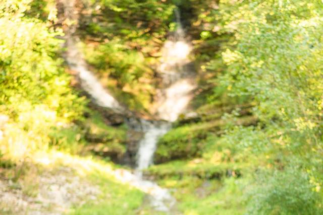 Dogwood Canyon Nature Park 5