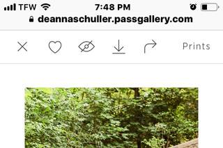Deanna Schuller Photography & Creative - 10