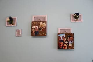 Art & History Museums, Maitland - 20