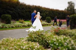 The Garden at Elm Bank - 13