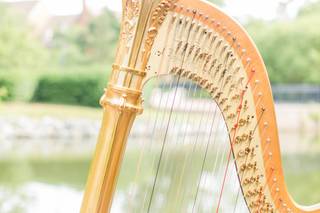 Vince Zentner Harpist - 8