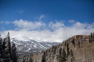 Marianne Brown Photography - 7
