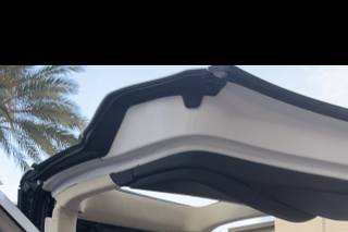 Tesla Limousine Service of Orlando - 17