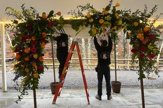 Earthy Elegance Florals - 52
