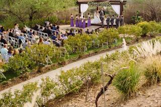 Serendipity Garden Weddings - 11
