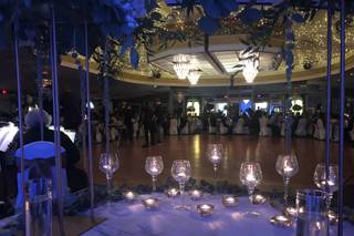 Guy's Party Center - 14