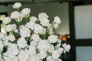 Jessica Bedore Photography - 9