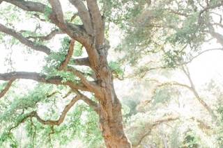 Ardenwood Historic Farm - 27