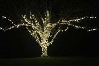 Gaither's at Myrtle Creek Farm - 9