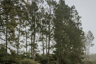 Pablo Beita Photography - 34