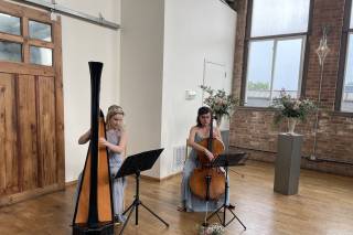 Michelle Campbell - Harpist - 10