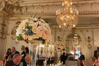 Dailey Forte Designs - 7