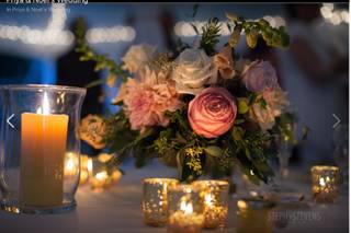 Sweethaven Farm & Flowers - 19